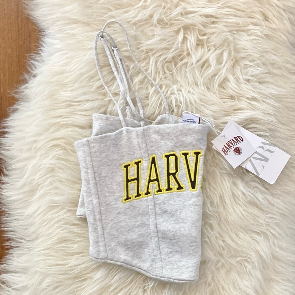 Zara x Harvard Corset Style Soft Knit Crop Top w/Side Boning - Picture 8 of 12